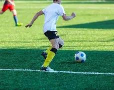 热议,糟糕草坪更,令人痛心,韦德体育平台,韦德体育官方网站,韦德体育登录入口,韦德体育app下载