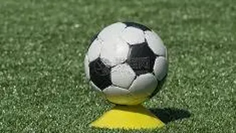 韦德体育 产品 095628 lil