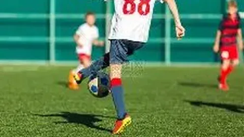 钓鱼岛并非想象中那么微小