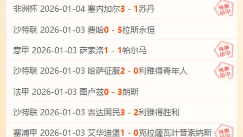 欧洲杯阵容中大连外援落选，错失第二阶段比赛机会