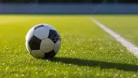 阿尔瓦雷斯转会费突破9000万欧元，创个人新高