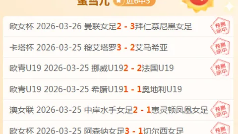 2025世界杯：厄瓜多尔全景扫描
